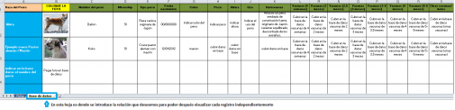 Base de datos